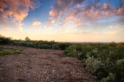 View on some lot of Phase 2