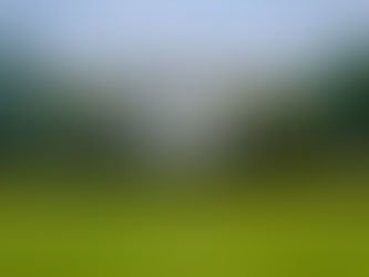 O National Mall e Arlington: A Sede do Goberno dos EUA