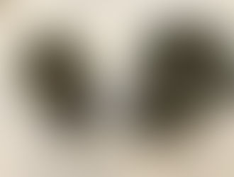 مكدوس البيتنجان بالجوز والثوم