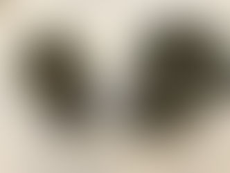 مكدوس البيتنجان بالجوز والثوم
