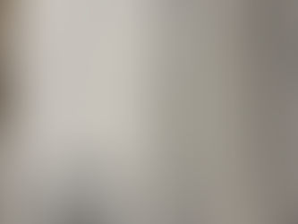 エッセンシャル思考