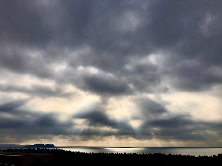 本当の私は・・