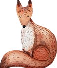 Drawing of Fox