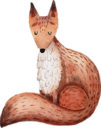 Drawing of Fox