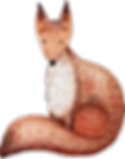 フォックスの描画
