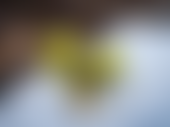 紫友句会第148回 まとめ 送ります