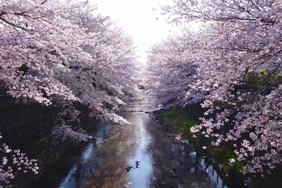 レディス部主催 女子会