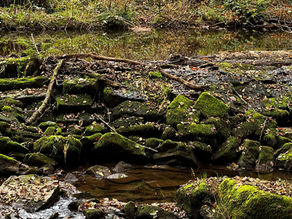 Extratour Thulbataler