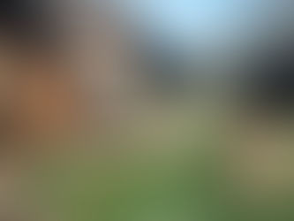 T10 NEWS: CALL FOR APPLICATIONS & Anniversary Celebration 5/17