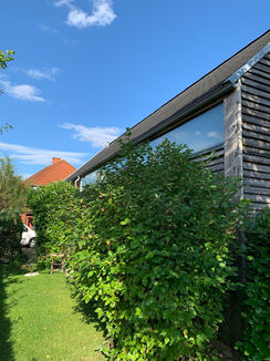 image7.jpeg
