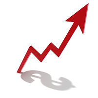 Financial Planning & Projections for Vineyards