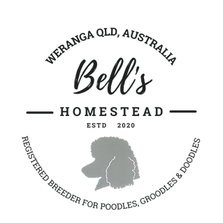bells home stead logo black.png