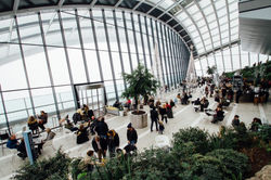 Should you install an office garden