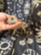 Thumbnail: Rena
