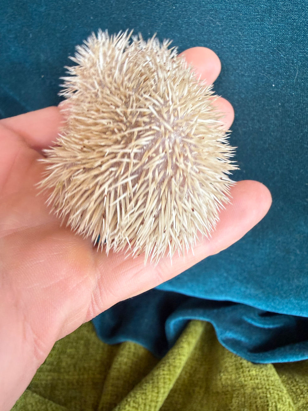 Thumbnail: Gary Bananas 