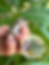 Thumbnail: Viktoro