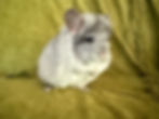Thumbnail: Terrence