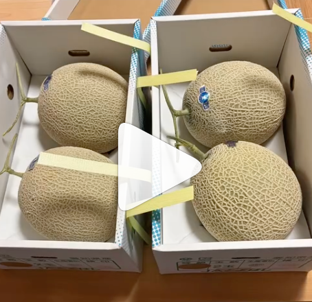 🍈メロンのかき氷、今週でおしまいかもしれません🍈