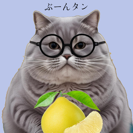 ぶーんタン誕生