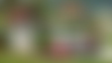 Elfyn Evans during Rally Croatia 2026