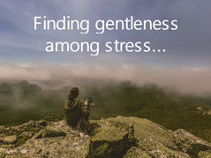 Finding gentleness among stress…