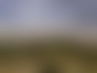 Finding gentleness among stress…