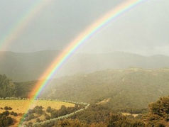 I had a dream: losing and finding dreams