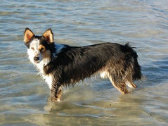 Navigating losses and gains