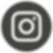 NS-GG_Web_icon-ig.png