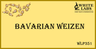 BAVARIAN WEIZEN.png