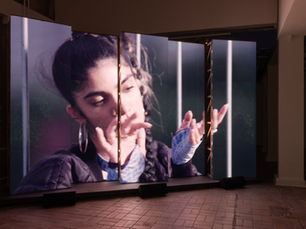 sergiden genel görünüm