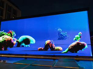 Işığın Akışında: CONFLUENCE Sanatçı Söyleşileri