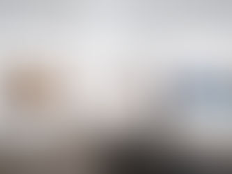 galeriden genel görünüm