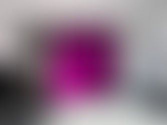 sergiden genel görünüm