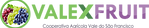 Logo Valex.png