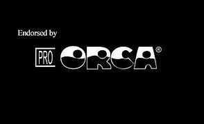 ORCA.jpg