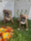 970EED87-36CA-42A1-9170-7656E9446054_1_201_a.heic