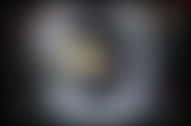 LA ESTRELLA DE ORIENTE