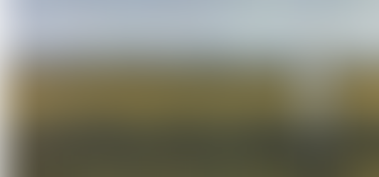 EL VERDAERO TRABAJO .....