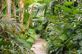 Idée de sortie en famille :
LE CARBET AMAZONIEN