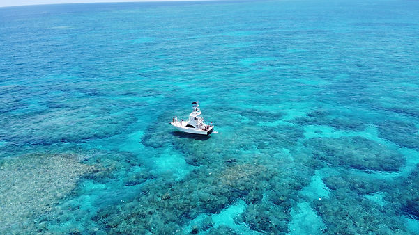 great barrier reef reef fishing cairns fishing charters snorkel charter