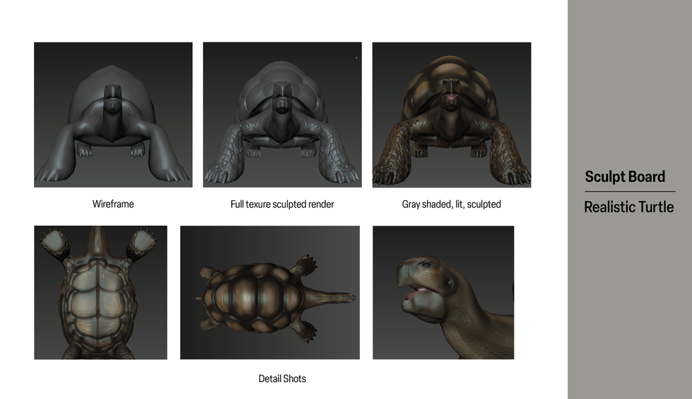 Realistic Turtle Sculpt Board-01.png