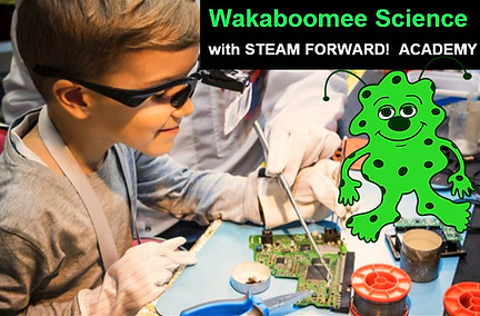 wakaboomeescience8.jpg