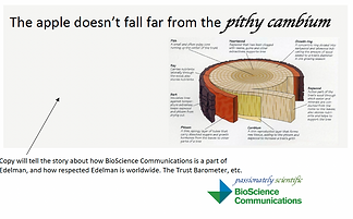 pithy cambium.png