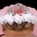 Flashing bride to be tiara with detailed white veil