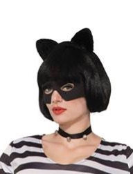 Thumbnail: Cat Burglar