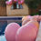 Thumbnail: Blush Themed Balloon Arch Garland, 4 metre