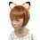 Thumbnail: Fox Ears And Tail Dress Up Set