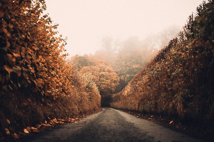 Autumn Road_edited.jpg