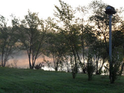 LAKE OWEN